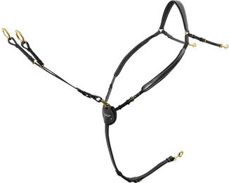 Produktbild von Passier Vorderzeug Marcus Ehning