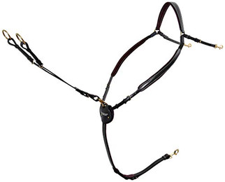 Produktbild von Passier Vorderzeug Marcus Ehning