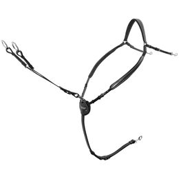 Produktbild von Passier Vorderzeug Marcus Ehning