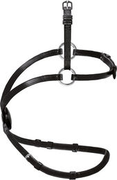 Produktbild von Passier Wechselnasenriemen mexikanisch