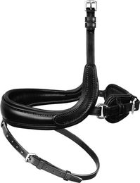 Produktbild von Passier Wechselnasenriemen mit Jochbeinfreiheit