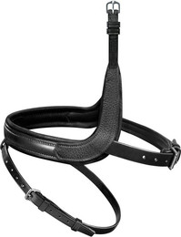 Produktbild von Passier WechselReithalfter mit Applikation