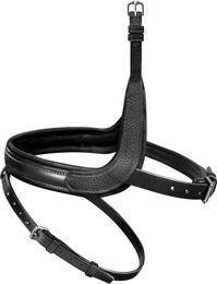 Produktbild von Passier WechselReithalfter mit Applikation