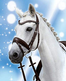 Produktbild von PASSIERBLU Trense SPIRIT