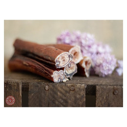 Produktbild von Paul & Paulina Ochsenziemer 12 cm - 10 x 12 cm