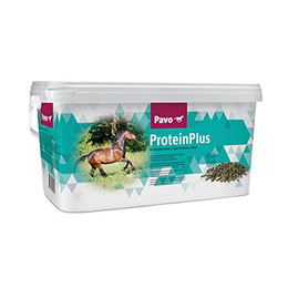 Produktbild von Pavo ProteinPlus Hochkonzentrierte Eiweißquelle - 7 kg