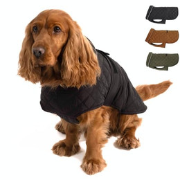 Produktbild von PAW WOW Fritz Hundemantel mit Bauchschutz und Klettverschluss