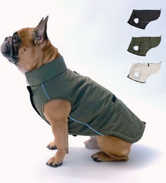 Produktbild von PAW WOW Toni Hundejacke Wintermantel mit Bauchschutz Olive M