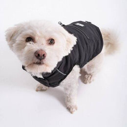 PAW WOW Toni Hundejacke Wintermantel mit Bauchschutz Schwarz XS - 1 Stk. – Bild 1 von 8