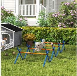 PawHut Agility-Hürde mit höhenverstellbaren Hürden, Tragetasche, Kunststoff, 600D Oxford-Gewebe, Agility Set Hunde (4-tlg) für Hundetraining, für kleine Hunde – Bild 1 von 5