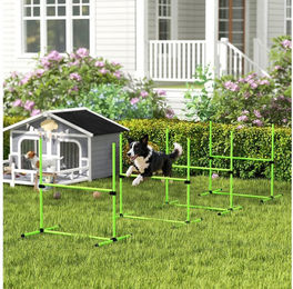 PawHut Agility-Hürde mit Hürden, Slamonstangen, Bodenstangen, Tragetasche, Kunststoff, Agility Set (4-tlg) für Hundetraining, Spiele Training, Grün – Bild 1 von 5