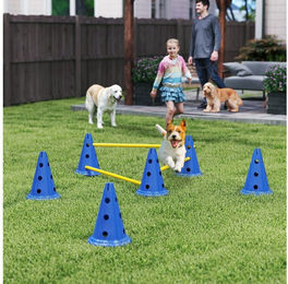 PawHut Agility-Hürde mit Kegel, Stangen, Tragetasche, Kunststoff, Agility Set (3-tlg) für Hundetraining, Spiele, Training, Blau – Bild 1 von 5