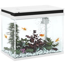 PawHut Aquarium 41 Liter Glas-Aquarium mit Filtersystem, LED-Lichtern, für verschiedene Fischarten, 48 x 30 x 41 cm – Bild 1 von 9