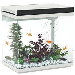 PawHut Aquarium mit Filter, LED-Beleuchtung, Wasserpumpe, für verschiedene Fischarten, 38 x 26 x 38 cm – Bild 1 von 9