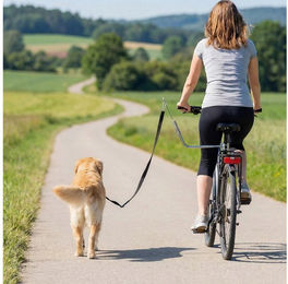 PawHut Fahrradleine mit Stoßdämpfern, verstellbarem Gurt, abnehmbarem Schnellverschluss, Edelstahl, Nylon (Hundefahrradleine, 1-tlg., Fahrrad Hundeleine), für Training, Joggen, Radfahren, Silber+Schwarz – Bild 1 von 5