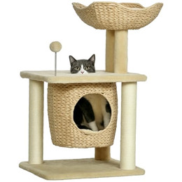 Produktbild von PawHut Katzen Kratzbaum Klein 74 cm mit Katzenhöhle und Spielball