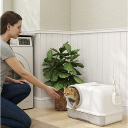 PawHut Katzentoilette Katzenklo mit Deckel Schaufel ausziehbares Tablett 2 Aktivkohlefilter, für Katzen bis 5 kg 59 x 39,5 x 39,5 cm Weiß+Grau – Bild 1 von 5