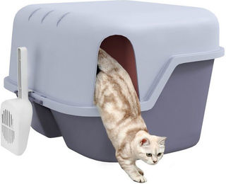 Produktbild von PawHut Katzentoilette mit Deckel, Sieb und Schaufel für kleine Katzen