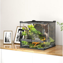 Produktbild von PawHut Terrarium mit Frontbelüftung, ausbruchsicherer Drehverschluss, für Amphibien Spinne Schwarz 30 x 30 x 30 cm