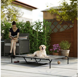 PawHut Tierbett Erhöhtes Hundebett mit Waschbares Mesh, Stahlrahmen, Texteline, für große Hunde, für Draußen Camping, 152 x 94 x 23 cm, Grau – Bild 1 von 5