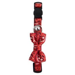 Produktbild von PAWISE Katzen-Halsband mit Schleife - 200 g