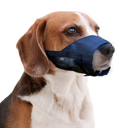 Produktbild von Pawise Maulkorb verstellbar Größe XL