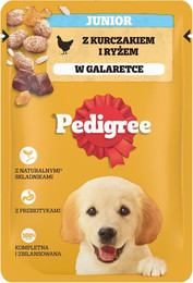 Produktbild von Pedigree Junior Nassfutter für Welpen mit Huhn in Gelee - 24 x 100 g