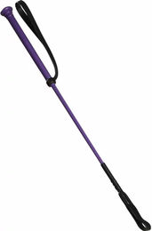 Produktbild von Peitsche T de T First