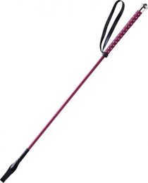 Produktbild von Peitsche Whip & Go Points