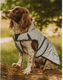 Produktbild von Peitschenstiele Dublin Edward Goddard - 55 cm