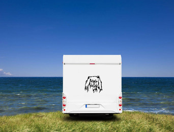 Produktbild von Pekinese Kopf Auto Wohnmobil Aufkleber