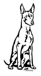 Produktbild von Peruanischer Nackthund Grafiklizenz