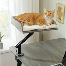 PETEPELA Kratzbaum Katzenbett für Schreibtisch mit interaktivem Plüschball, Katzenkorb, 360° drehbar Katzenbettständer, Katzen Hängematte – Bild 1 von 5