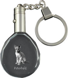 Produktbild von Peterbald - Anhänger mit Katzenfoto, Kristall-Schlüsselring in Geschenkbox, einzigartiges Geschenk der Marke Art-Dog transparent