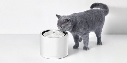 Produktbild von PETKIT Trinkbrunnen Eversweet 3 Pro Wireless mit UVC Desinfektion - 1,8 l