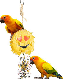 Petlala Emoji Pinata – Bild 1 von 5