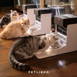 Produktbild von Petlibro Dockstream akkubetriebener automatischer Katzenbrunnen für Haustiere, Schwarz / Dockstream