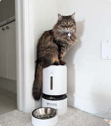 Produktbild von Petlibro Granary Automatischer intelligenter Haustierfutterautomat mit Kamera, Weiß / Einzelne Schale