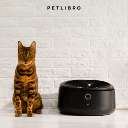 Produktbild von Petlibro Polar Futterspender für Nassfutter, Schwarz