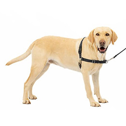 Produktbild von PetSafe Easy Walk Anti-Zieh-Hundegeschirr Größe L mit Leine - 1 Stk.