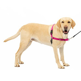 Produktbild von PetSafe Easy Walk Anti-Zieh-Hundegeschirr Himbeere Größe L