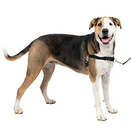 Produktbild von PetSafe Easy Walk Anti-Zieh-Hundegeschirr XL Schwarz