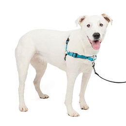 Produktbild von PetSafe Easy Walk Deluxe Hundegeschirr mit Leine