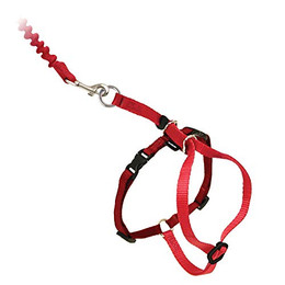 Produktbild von PetSafe Easy Walk Katzengeschirr Größe L Rot