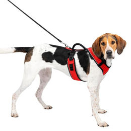 PetSafe EasySport Hundegeschirr Größe L Rot – Bild 1 von 8