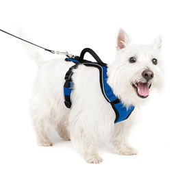 PetSafe EasySport Hundegeschirr Größe S Blau - 1 Stk. – Bild 1 von 6