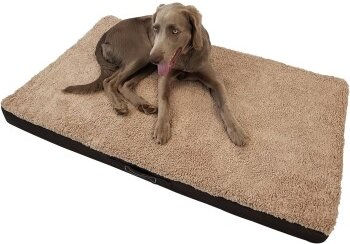 Petsation BENJI orthopädisch Hundebett Hundekissen S – Bild 1 von 3