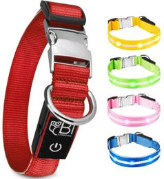 Produktbild von Petsation Hunde-Halsband Leuchthalsband für Hunde [Das Original] Leuchtendes LED Hundehalsband