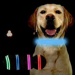 Produktbild von Petsation Leuchthalsband für Hunde LED mit Metallverschluss - 1 Stk.