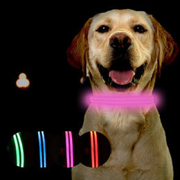 Produktbild von Petsation Leuchthalsband für Hunde LED mit Metallverschluss Pink M (38-50 cm) - 1 Stk.